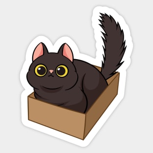 Cat in the box Sticker